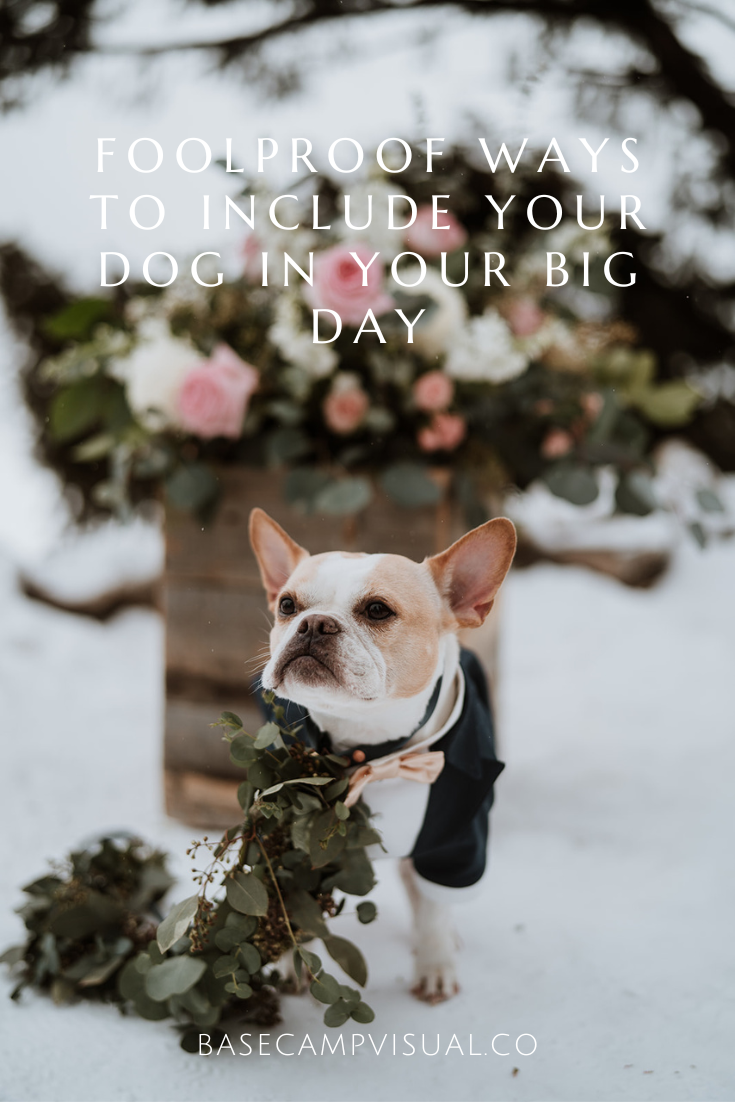 how to include your dog in your big day