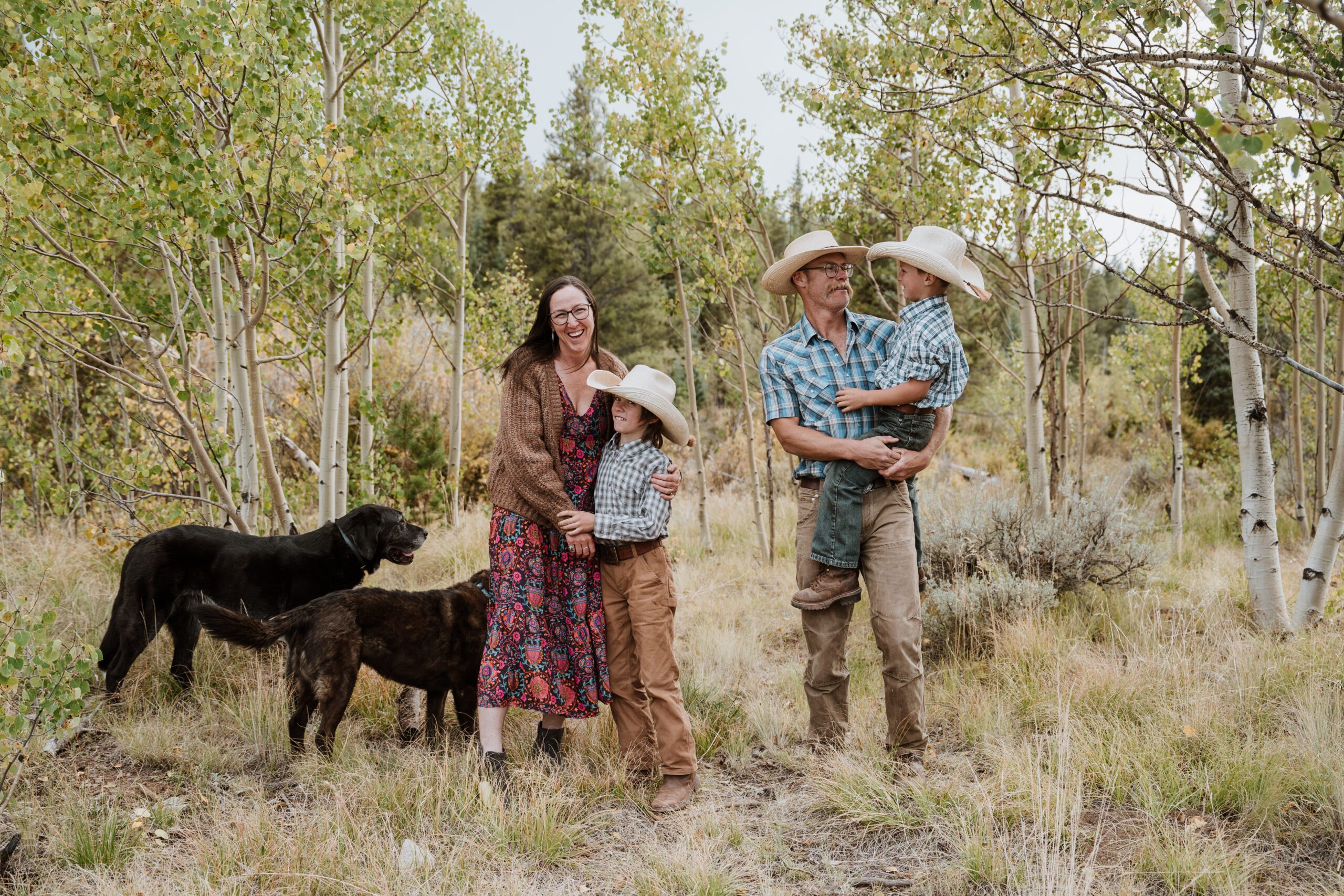 A family of four, surrounded by aspen trees &dressed in coordinating fall colors, engages with each other while their two large black dogs watch.